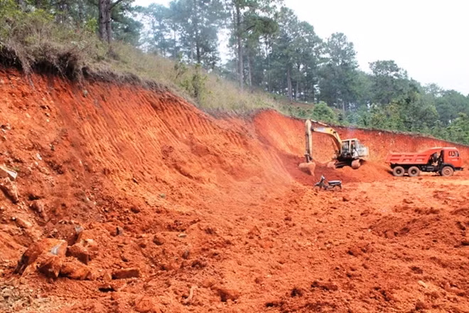Những cánh rừng thông thuộc xã Đạ Sar, huyện Lạc Dương, nơi giáp ranh với địa phận Đà Lạt cũng đang lâm nguy bởi tình trạng san ủi đất xảy ra ồ ạt.