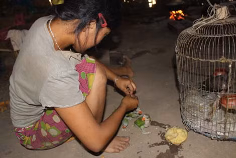 Con gái ngủ, Nô tranh thủ cho chim ăn.