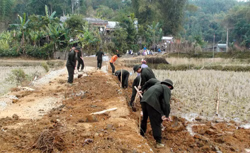 Đoàn viên thanh niên Công an tỉnh có nhiều hoạt động thiết thực chung tay xây dựng nông thôn mới. Đoàn viên thanh niên Công an tỉnh có nhiều hoạt động thiết thực chung tay xây dựng nông thôn mới.
