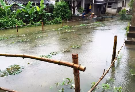 Lụt bất ngờ xảy ra tại Hải Lăng, Quảng Trị.