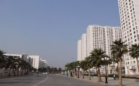 Giới “đầu cơ” tái xuất sẽ khiến thị trường BĐS đứng trước nỗi lo biến thể.