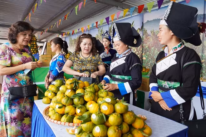 Ban tổ chức yêu cầu các sản phẩm trưng bày và bán tại Tuần hàng Việt là sản phẩm có chất lượng của Việt Nam, bảo đảm về chất lượng, an toàn thực phẩm, truy xuất được nguồn gốc theo quy định, do các DN, cơ sở sản xuất kinh doanh trong nước sản xuất và phân phối.