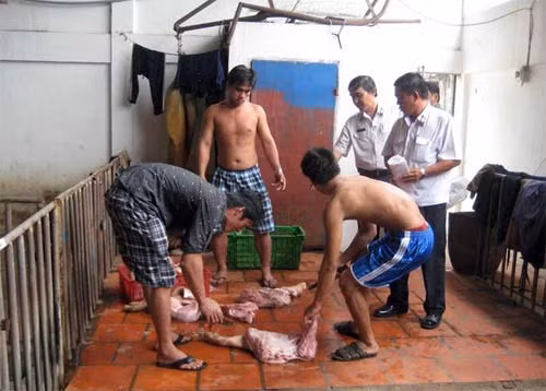 Giết mổ heo trong điều kiện không đảm bảo là nguyên nhân gây vấy nhiễm vi khuẩn, gây ngộ độc thực phẩm. Giết mổ heo trong điều kiện không đảm bảo là nguyên nhân gây vấy nhiễm vi khuẩn, gây ngộ độc thực phẩm.
