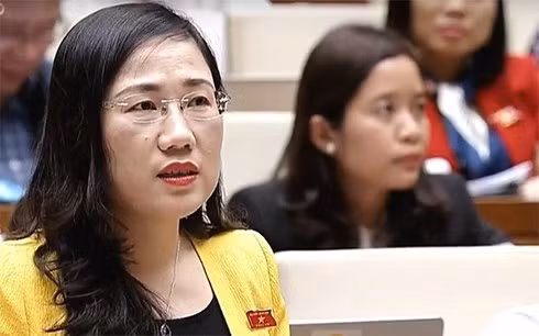 Đại biểu Nguyễn Thị Thuỷ Đại biểu Nguyễn Thị Thuỷ