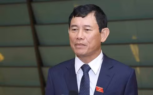Đại biểu Nguyễn Ngọc Phương