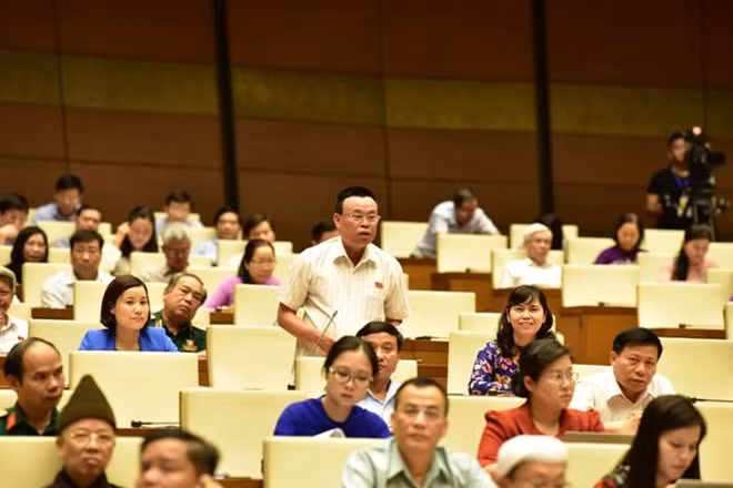 Đại biểu Nguyễn Như Sơ