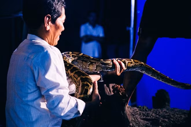 Trong một vài cảnh hậu trường, không ít người phải giật mình khi Phạm Anh Khoa bị xích trong hồ nước cũng với một con trăn khổng lồ. Ngoài ra, những người bạn đồng hành cùng Phạm Anh Khoa trong dự án này cũng thể hiện rõ sự vất vả khi hình ảnh hậu trường được công bố.