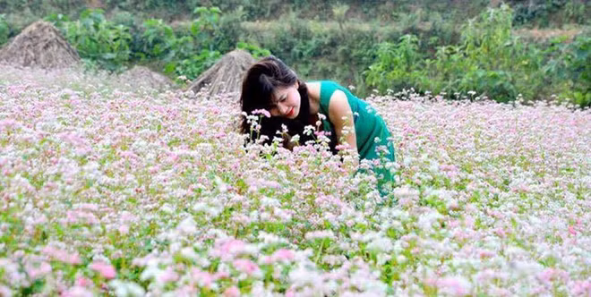 Trong khuôn khổ lễ hội sẽ diễn ra nhiều hoạt động hấp dẫn