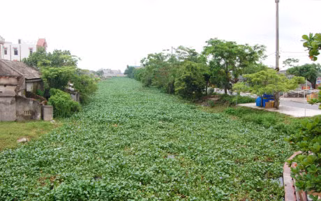 Khu vực nơi phát hiện thi thể nam giới Khu vực nơi phát hiện thi thể nam giới