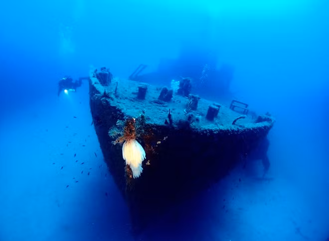 Những người yêu thích bộ môn lặn đánh giá biển Malta có sức hút lạ kỳ và sẽ quay lại nhiều lần nữa.