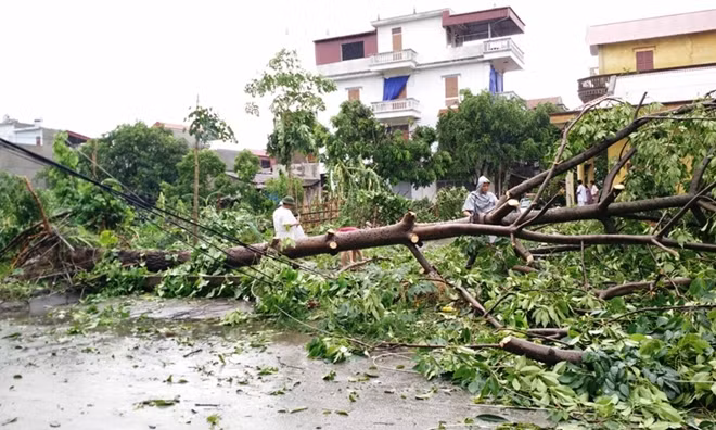 Ninh Bình tan hoang sau bão số 1
