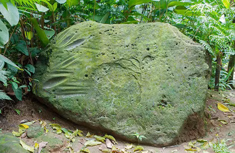 Tảng đá cổ phủ đầy rêu xanh có dấu tích chữ viết của người cổ đại Olmec.