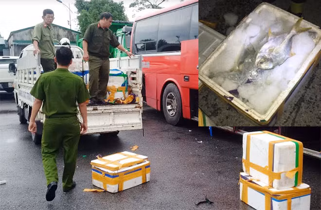 Cá đông lạnh đã phân hủy và phương tiện bị chở thực phẩm lậu.