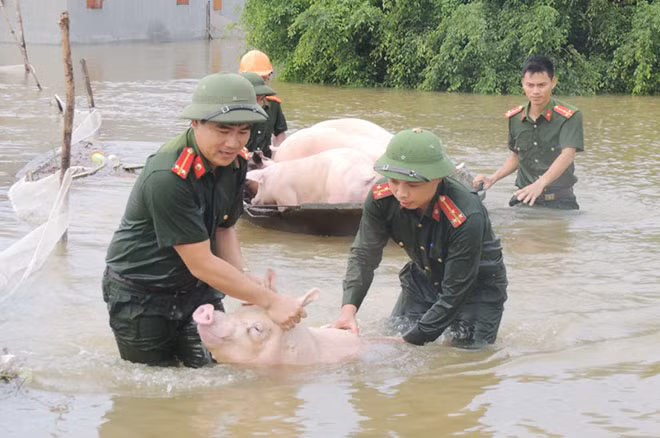 Công an tỉnh Hà Nam giúp dân trong mưa lũ.