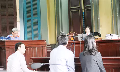 Lừa “chạy án”, cựu thư ký tòa cấp cao lãnh án 13 năm tù ảnh 4