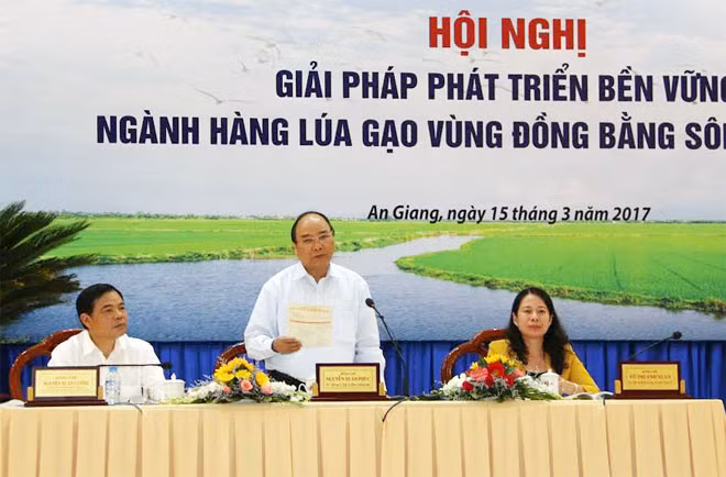 Thủ tướng Nguyễn Xuân Phúc, phát biểu chỉ đạo tại Hội nghị “Giải pháp phát triển bền vững ngành hàng lúa gạo vùng ĐBSCL”.