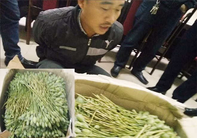 Nguyễn Văn Thanh cùng thùng “hàng” tang vật tại cơ quan Công an.