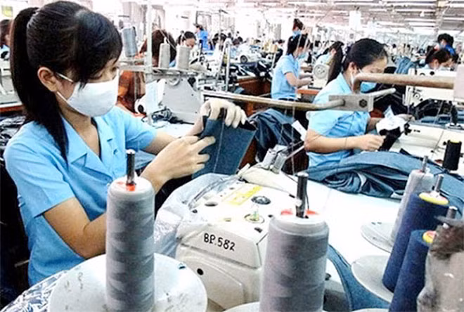Lương tối thiểu chỉ tác động một phần rất nhỏ đến năng suất lao động.