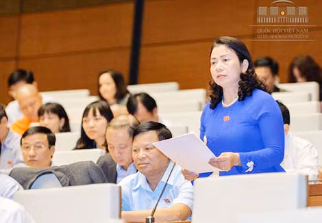 Nhiều đại biểu Quốc hội lo ngại tình trạng nở cấp phó, trong khi biên chế không tinh giản được như kỳ vọng.