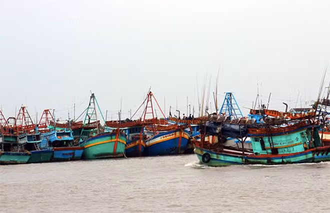 Những chiếc tàu, thuyền cuối cùng đang cập bến tìm nơi neo đậu.