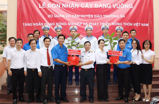 Agribank tổ chức Lễ đón nhận cây bàng vuông do quân và dân huyện đảo Trường Sa trao tặng.