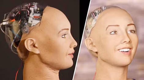 Sophia được phát triển bởi Hãng công nghệ Hanson Robotics, có khuôn mặt của phụ nữ với khả năng biểu cảm và nói tiếng Anh. Sophia được phát triển bởi Hãng công nghệ Hanson Robotics, có khuôn mặt của phụ nữ với khả năng biểu cảm và nói tiếng Anh.