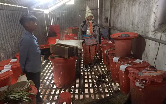 Các thùng rượu được niêm phong để kiểm tra.