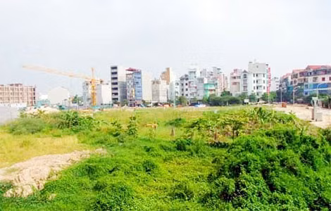 Vi phạm đất đai có sự dung túng của cơ sở?