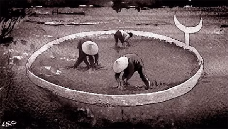 Minh họa: Lê Phương.