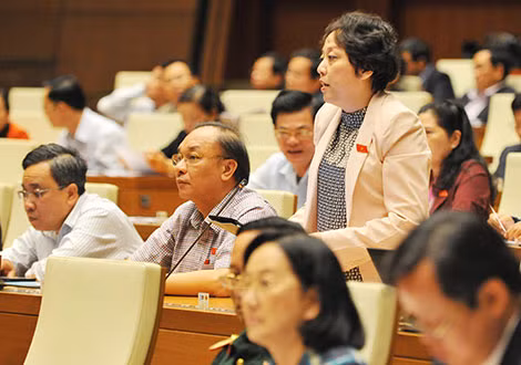PGS. TS Phạm Khánh Phong Lan chất vấn tại nghị trường Quốc hội.