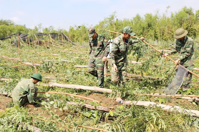 Cán bộ chiến sỹ biên phòng đóng chân trên địa bàn huyện biên giới Bù Đốp giúp dân khắc phục hậu quả sau lốc xoáy.