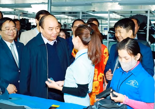 Kinh tế lâm nghiệp là lối ra cho Tuyên Quang