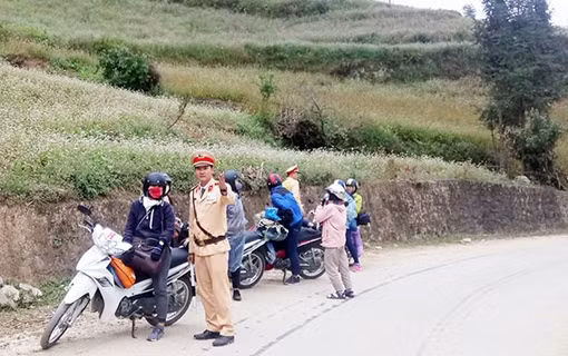 Đảm bảo an toàn Lễ hội hoa Tam giác mạch