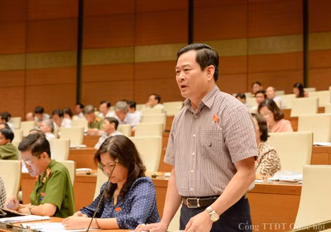 Phó Chủ nhiệm Ủy ban Tư pháp của Quốc hội Nguyễn Đình Quyền cho rằng trước mắt cần giữ nguyên đầu mối cơ quan điều tra như quy định hiện hành.