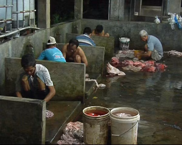 Thịt, nội tạng heo vứt la liệt dưới sàn. Thịt, nội tạng heo vứt la liệt dưới sàn.