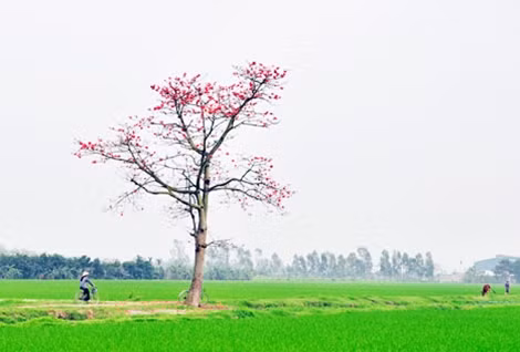 Ảnh: LG.