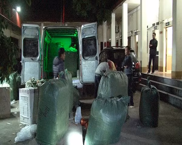 Lô mỹ phẩm nhập lậu được đưa về Đội QLTT số 2.