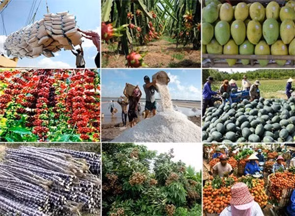 Nông sản, đặc biệt là sản phẩm chăn nuôi đang kém cạnh tranh vì chi phí quá cao. Nông sản, đặc biệt là sản phẩm chăn nuôi đang kém cạnh tranh vì chi phí quá cao.