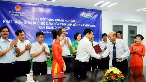 Đại diện lãnh đạo tỉnh Lâm Đồng kí kết hợp tác với đại diện Vinamilk.