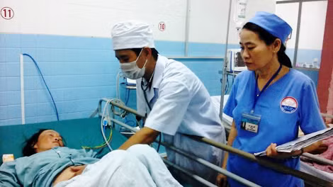 Các y bác sĩ chăm sóc sức khỏe cho các bệnh nhân bị rắn lục đuôi đỏ cắn.