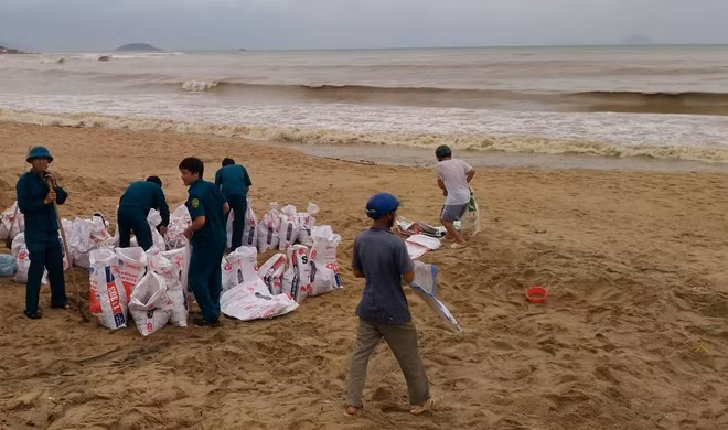 Dân phòng cùng nhiều người dân ra bãi biển Nha Trang lấy cát đưa lên xe ô tô, xe máy vận chuyển về khu dân cư để giằng giữ mái nhà khi bão đến. Ảnh : HỮU TOÀN