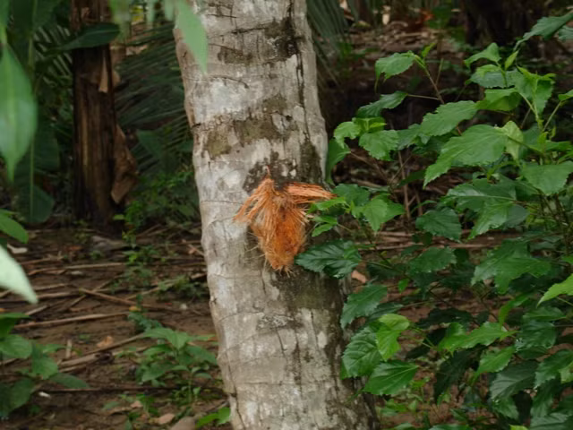 Hiện trường vụ nổ bom.