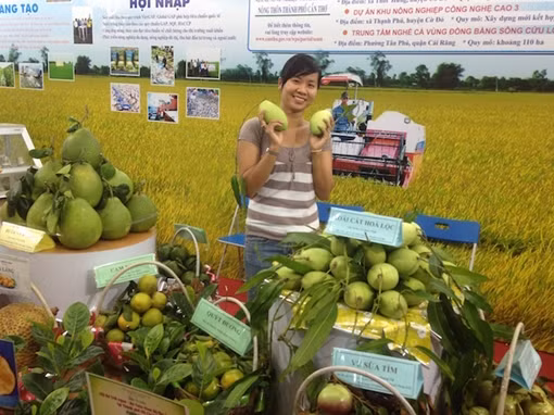 Khơi thông thị trường xuất khẩu cho gạo Việt Nam ảnh 2