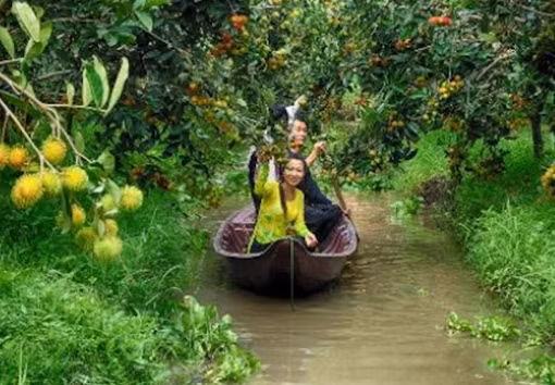 Sẵn sàng "Ngày hội du lịch sinh thái Phong Điền - Cần Thơ 2017"