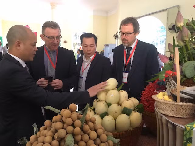 Các nhà đầu tư quan tâm, tìm kiếm cơ hội đầu tư tại Đồng Tháp.