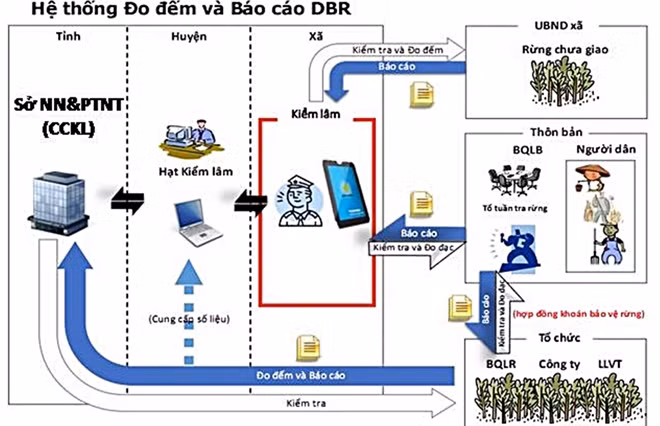 Sơ đồ đề án hiện đại hóa công tác giám sát diễn biến rừng tại Quảng Nam.