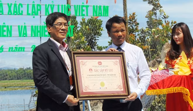 Dịp này, đại diện Tổ chức kỷ lục Việt Nam đã trao chứng nhận xác lập kỷ lục Việt Nam về Bộ tranh thuyền thúng đầu tiên và nhiều nhất Việt Nam cho đại diện lãnh đạo TP Tam Kỳ (áo trắng).
