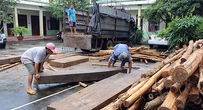 Phương tiện và tang vật gỗ lậu bị tạm giữ để điều tra, xử lý theo quy định.