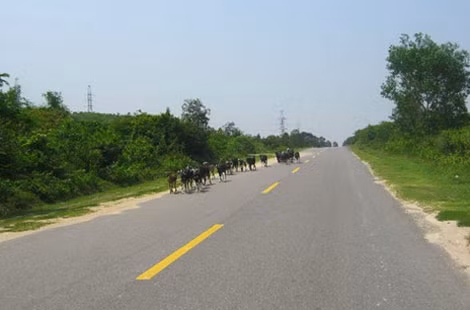 Đường > 60 km/h và cho phép vượt. Ảnh: O.S.