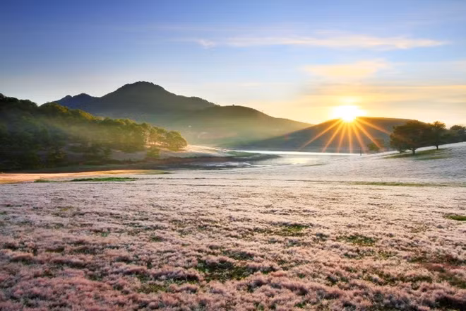 Theo nhiếp ảnh gia, nhà báo Võ Trang, những tấm hình được đưa ra triển lãm là đều thuộc diện tâm đắc nhất của nhóm tác giả. Để có được những tác phẩm cỏ hồng tuyệt vời này, nhóm nhiếp ảnh gia đã phải lao động vô cùng vất vả.